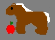 Horsie eating apple